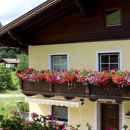 Appartement Gleiminger Forstau  Exteriér fotografie