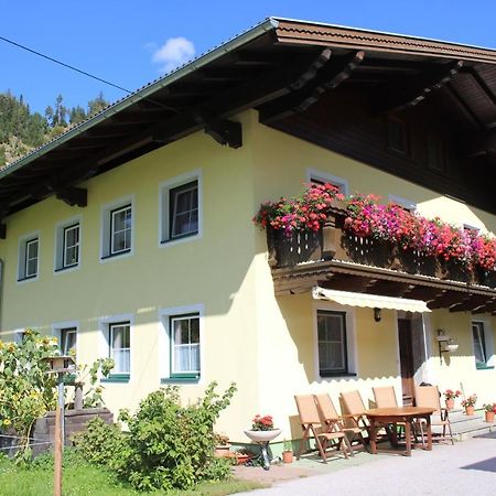 Appartement Gleiminger Forstau  Exteriér fotografie
