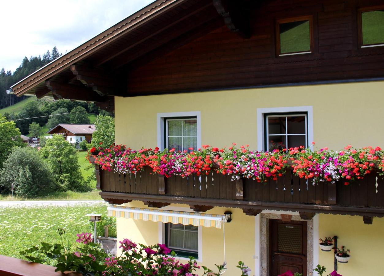 Appartement Gleiminger Forstau  Exteriér fotografie