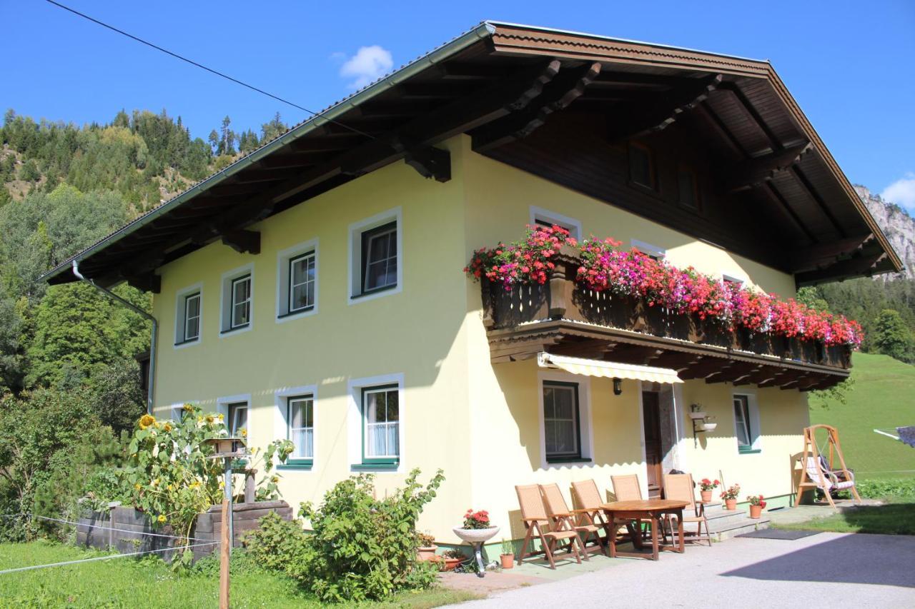 Appartement Gleiminger Forstau  Exteriér fotografie
